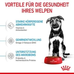 Royal Canin Maxi Puppy Für Welpen Großer Rassen 4 Kg Trockenfutter Für Hunde -Haustier Lieferungen Geschäft 07jpO32d7PMu 3182550402163 3005 4