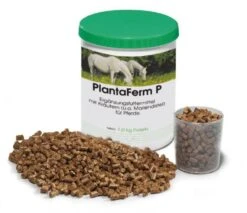 PlantaVet PlantaFerm P Für Pferde 1,2 Kg Pellets Dose Für Pferde -Haustier Lieferungen Geschäft 0JIEco0ynwvg plantaferm p pellets