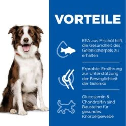 Hills Science Plan Canine Adult Healthy Mobility Medium Huhn Trockenfutter 14 Kg Trockenfutter 7 Hills Science Plan Canine Adult Healthy Mobility Medium Huhn Trockenfutter 14 Kg Trockenfutter -Haustier Lieferungen Geschäft 0S18WI5f2Toc 52742026138 3