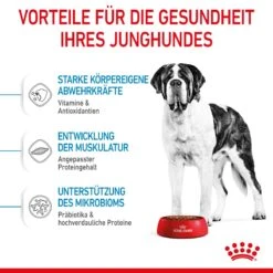 Royal Canin Giant Junior Welpenfutter Für Sehr Große Hunde 15 Kg Trockenfutter Für Hunde 16 Royal Canin Giant Junior Welpenfutter Für Sehr Große Hunde 15 Kg Trockenfutter Für Hunde -Haustier Lieferungen Geschäft 1E6IYFKnHwuZ 3182550707077 3085 4