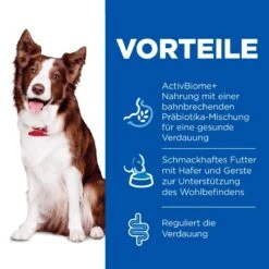 Hills Science Plan Canine Perfect Digestion Adult Medium Trockenfutter Für Hunde 14 Kg Huhn & Reis Trockenfutter -Haustier Lieferungen Geschäft 1MbqEigY9Tip 52742044156 3