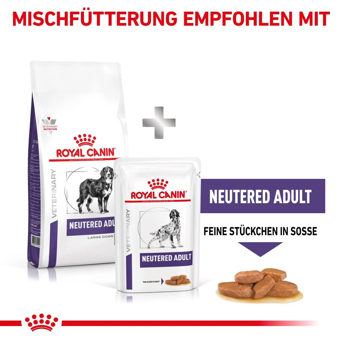 Royal Canin Neutered Adult Large Dogs Trockenfutter Für Hunde 12 Kg Trockenfutter Für Hunde 10 Royal Canin Neutered Adult Large Dogs Trockenfutter Für Hunde 12 Kg Trockenfutter Für Hunde – Bild 8