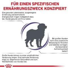 Royal Canin Adult Large Dogs Trockenfutter Für Hunde 13 Kg Trockenfutter Für Hunde -Haustier Lieferungen Geschäft 2GaLpfWhS75z 3182550925105 6587 3