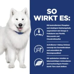 Hills K/d + Mobility Trockenfutter Für Hunde 4 Kg Trockenfutter Für Hunde -Haustier Lieferungen Geschäft 2R3lxCuF522C 52742047140 4