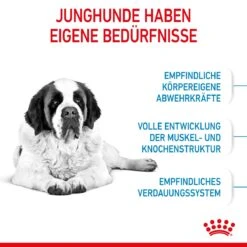 Royal Canin Giant Junior Welpenfutter Für Sehr Große Hunde 15 Kg Trockenfutter Für Hunde 15 Royal Canin Giant Junior Welpenfutter Für Sehr Große Hunde 15 Kg Trockenfutter Für Hunde -Haustier Lieferungen Geschäft 2T1BldpBPNHT 3182550707077 3085 3