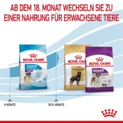 Royal Canin Giant Junior Welpenfutter Für Sehr Große Hunde 15 Kg Trockenfutter Für Hunde 18 Royal Canin Giant Junior Welpenfutter Für Sehr Große Hunde 15 Kg Trockenfutter Für Hunde -Haustier Lieferungen Geschäft 2zHWgrNRQRhE 3182550707077 3085 6
