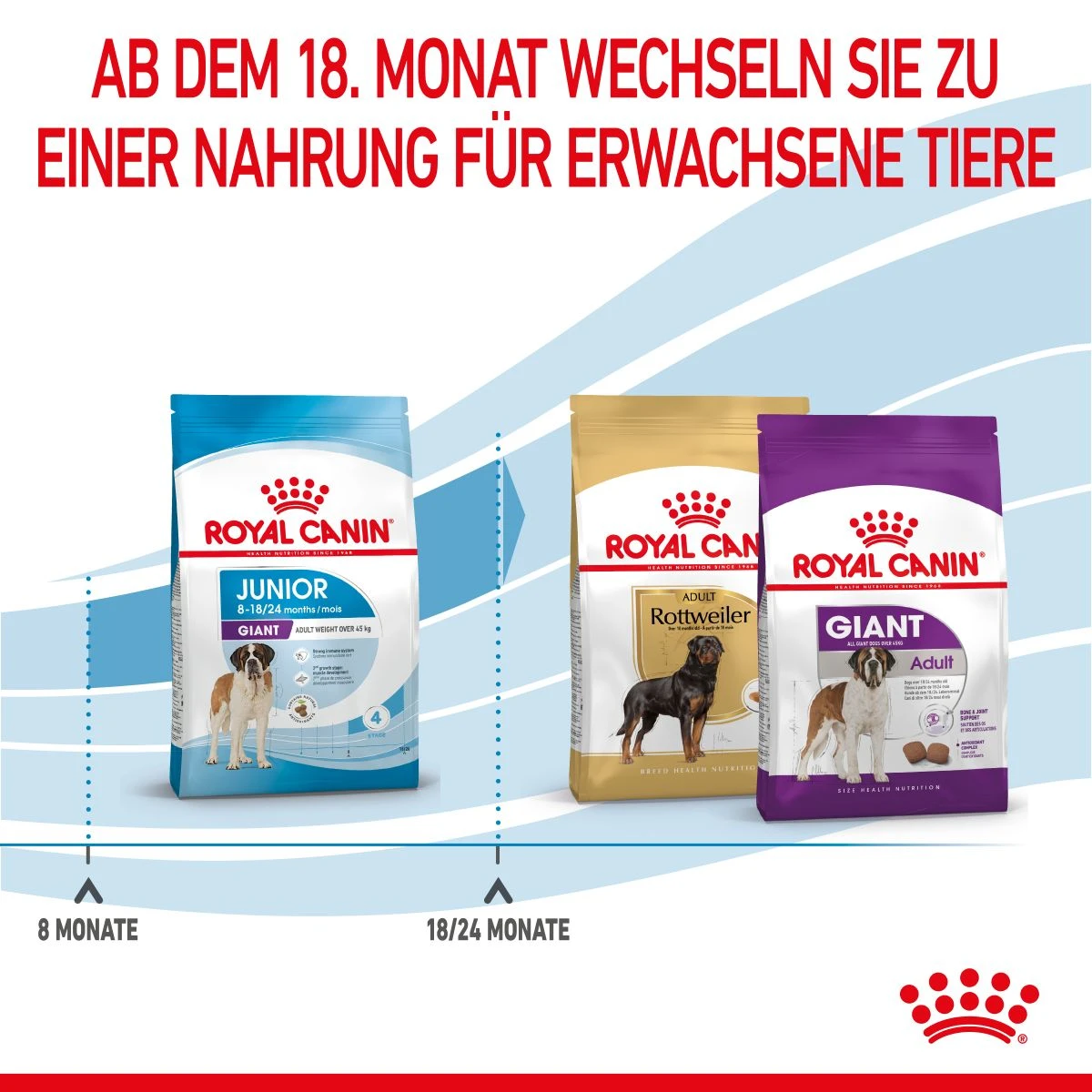 Royal Canin Giant Junior Welpenfutter Für Sehr Große Hunde 15 Kg Trockenfutter Für Hunde 9 Royal Canin Giant Junior Welpenfutter Für Sehr Große Hunde 15 Kg Trockenfutter Für Hunde – Bild 7