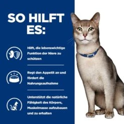 Hills Feline K/d Lachs Frischebeutel Für Katzen 12 X Lachs Frischebeutel -Haustier Lieferungen Geschäft 31tm2trjX6iv 52742188416 4