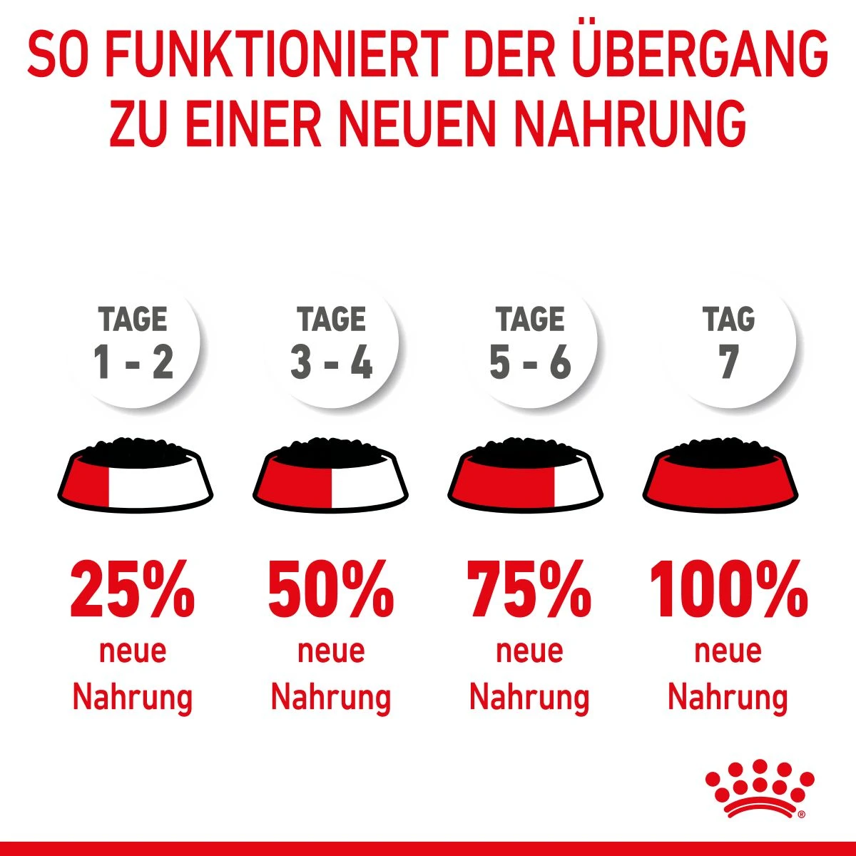 Royal Canin Medium Puppy Frischebeutel 10 X 140 G Frischebeutel Für Hunde 10 Royal Canin Medium Puppy Frischebeutel 10 X 140 G Frischebeutel Für Hunde – Bild 8