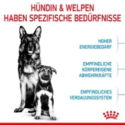 Royal Canin Maxi Starter Trockenfutter 15 Kg Trockenfutter Für Hunde -Haustier Lieferungen Geschäft 4XgyrCFkx0o4 3182550778787 2525 3