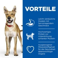 Hills Science Plan Canine Adult Performance Huhn Trockenfutter Für Hunde 14 Kg Trockenfutter 7 Hills Science Plan Canine Adult Performance Huhn Trockenfutter Für Hunde 14 Kg Trockenfutter -Haustier Lieferungen Geschäft 56YNreDWxr4Y 52742026114 3