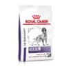 Royal Canin Dental Medium & Large Dogs Trockenfutter Für Hunde 6 Kg Trockenfutter Für Hunde -Haustier Lieferungen Geschäft 6WprbZTXCGYs 3182550925310 328 1