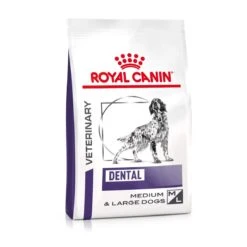 Royal Canin Dental Medium & Large Dogs Trockenfutter Für Hunde 6 Kg Trockenfutter Für Hunde