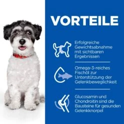 Hills Science Plan Perfect Weight + Active Mobility Small & Mini Adult Trockenfutter 6 Kg Trockenfutter Für Hunde 9 Hills Science Plan Perfect Weight + Active Mobility Small & Mini Adult Trockenfutter 6 Kg Trockenfutter Für Hunde -Haustier Lieferungen Geschäft 76MEJ32CLOYJ 52742052465 3