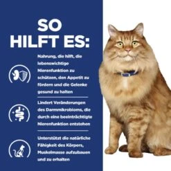 Hills K/d + Mobility Trockenfutter Für Katzen 1,5 Kg Trockenfutter Für Katzen -Haustier Lieferungen Geschäft 7ufW5ljPpriZ 52742049991 5
