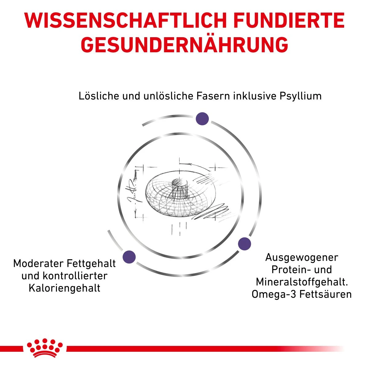 Royal Canin Neutered Adult Large Dogs Trockenfutter Für Hunde 12 Kg Trockenfutter Für Hunde 6 Royal Canin Neutered Adult Large Dogs Trockenfutter Für Hunde 12 Kg Trockenfutter Für Hunde – Bild 4