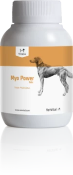 VetVital Vicano Myo Power Tabs Für Hunde 100 Tabletten Für Hunde