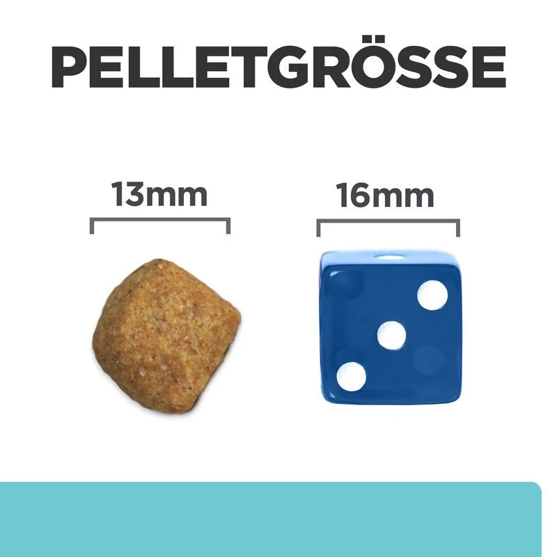 Hills Feline T/d Trockenfutter Für Katzen 1,5 Kg Trockenfutter Für Katzen 7 Hills Feline T/d Trockenfutter Für Katzen 1,5 Kg Trockenfutter Für Katzen – Bild 5