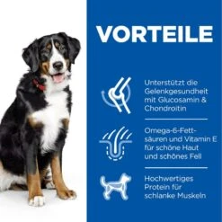 Hills Science Plan Canine Adult Large Breed Hund Trockenfutter 14 Kg Trockenfutter Mit Huhn -Haustier Lieferungen Geschäft Ct4dIWMvScjv 52742121109 3