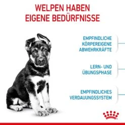 Royal Canin Maxi Puppy Für Welpen Großer Rassen 4 Kg Trockenfutter Für Hunde -Haustier Lieferungen Geschäft DCuXITVIJ5kZ 3182550402163 3005 3