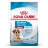 Royal Canin Medium Starter Trockenfutter 15 Kg Trockenfutter Für Hunde 2 Royal Canin Medium Starter Trockenfutter 15 Kg Trockenfutter Für Hunde -Haustier Lieferungen Geschäft DwTco6VrDe6x 3182550932714 2515 Packshot