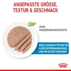 Royal Canin Starter Ultra Soft Mousse Für Welpen 12 X 195 G -Haustier Lieferungen Geschäft DzSABroMWOqm 9003579020036 4300 3