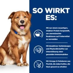 Hills Prescription Diet Canine Derm Complete Trockenfutter Für Hunde 1,5 Kg Trockenfutter 11 Hills Prescription Diet Canine Derm Complete Trockenfutter Für Hunde 1,5 Kg Trockenfutter -Haustier Lieferungen Geschäft HE4V4wGjDwYa 52742045580 3