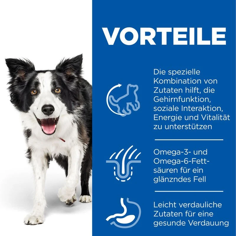 Hills Science Plan Canine Senior Vitality Medium Mature Adult 7+ Trockenfutter Mit Huhn & Reis 14 Kgr Trockenfutter Mit Huhn & Reis 5 Hills Science Plan Canine Senior Vitality Medium Mature Adult 7+ Trockenfutter Mit Huhn & Reis 14 Kgr Trockenfutter Mit Huhn & Reis – Bild 3