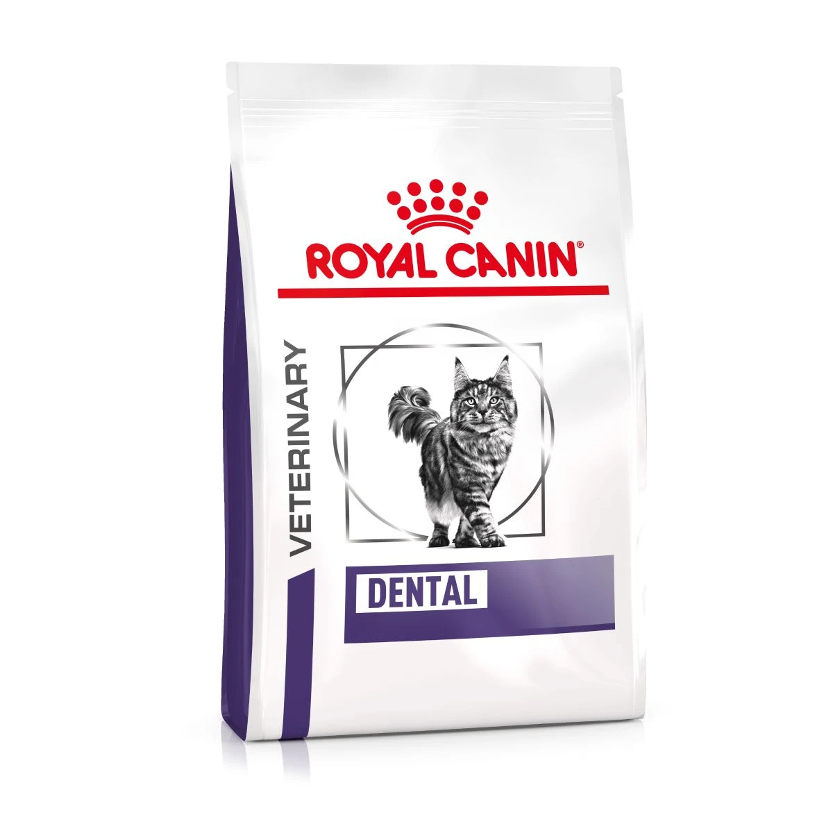 Royal Canin Dental Trockenfutter Für Katzen 1,5 Kg Trockenfutter Für Katzen 3 Royal Canin Dental Trockenfutter Für Katzen 1,5 Kg Trockenfutter Für Katzen
