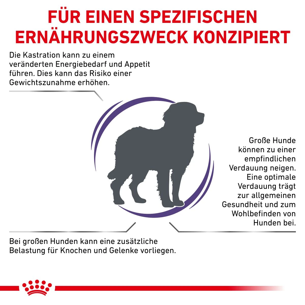 Royal Canin Neutered Adult Large Dogs Trockenfutter Für Hunde 12 Kg Trockenfutter Für Hunde 5 Royal Canin Neutered Adult Large Dogs Trockenfutter Für Hunde 12 Kg Trockenfutter Für Hunde – Bild 3