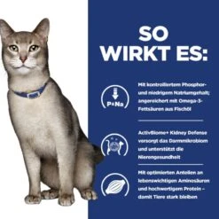 Hills K/d Ragout In Dosen Für Katzen 24 X 82 G Ragout In Dosen Für Katzen -Haustier Lieferungen Geschäft KDViEC0kPp8i 52742021607 4