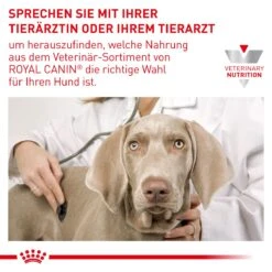 Royal Canin Gastrointestinal Moderate Calorie Hund Trockenfutter 2 Kg Gastro Intestinal Moderate Calorie -Haustier Lieferungen Geschäft KNn6Ivv7frjs 3182550905923 888 8