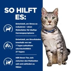 Hills Prescription Diet Feline C/d Multicare Urinary Stress + Metabolic Trockenfutter Für Katzen 1,5 Kg Trockenfutter Für Katzen 12 Hills Prescription Diet Feline C/d Multicare Urinary Stress + Metabolic Trockenfutter Für Katzen 1,5 Kg Trockenfutter Für Katzen -Haustier Lieferungen Geschäft KrmdWBQr3qkQ 52742043814 4