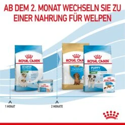 Royal Canin Mini Starter Trockenfutter 4 Kg Trockenfutter 18 Royal Canin Mini Starter Trockenfutter 4 Kg Trockenfutter -Haustier Lieferungen Geschäft KzdYqYx8xEMe 3182550932707 2504 6