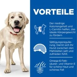 Hills Science Plan Canine Light Adult Large Breed Mit Huhn Trockenfutter 14 Kg Trockenfutter -Haustier Lieferungen Geschäft LKnwbeDWS4bt 52742025902 3