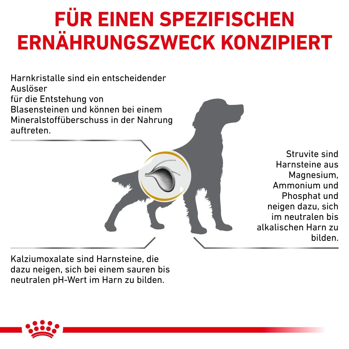 Royal Canin Urinary S/O Trockenfutter Für Hunde 2 Kg Trockenfutter Für Hunde 11 Royal Canin Urinary S/O Trockenfutter Für Hunde 2 Kg Trockenfutter Für Hunde – Bild 9