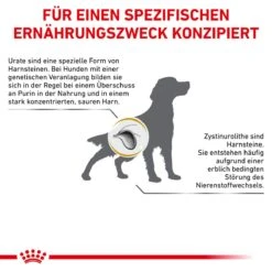 Royal Canin Urinary U/C Hundefutter 2 Kg Trockenfutter Für Hunde 15 Royal Canin Urinary U/C Hundefutter 2 Kg Trockenfutter Für Hunde -Haustier Lieferungen Geschäft Lvwktdpxa8qu 3182550748315 479 8