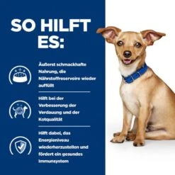 Hills I/d Stress Mini ActivBiome+ Ragout In Dosen Für Hunde 24 X 156 G Ragout In Dosen Für Hunde 14 Hills I/d Stress Mini ActivBiome+ Ragout In Dosen Für Hunde 24 X 156 G Ragout In Dosen Für Hunde -Haustier Lieferungen Geschäft M4WBdhEtav6p 52742039336 4