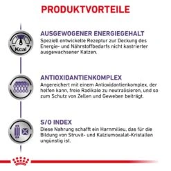 Royal Canin Adult Trockenfutter Für Katzen 2 Kg Trockenfutter Für Katzen 16 Royal Canin Adult Trockenfutter Für Katzen 2 Kg Trockenfutter Für Katzen -Haustier Lieferungen Geschäft MQfz9TOouCGB 3182550799690 6238 5