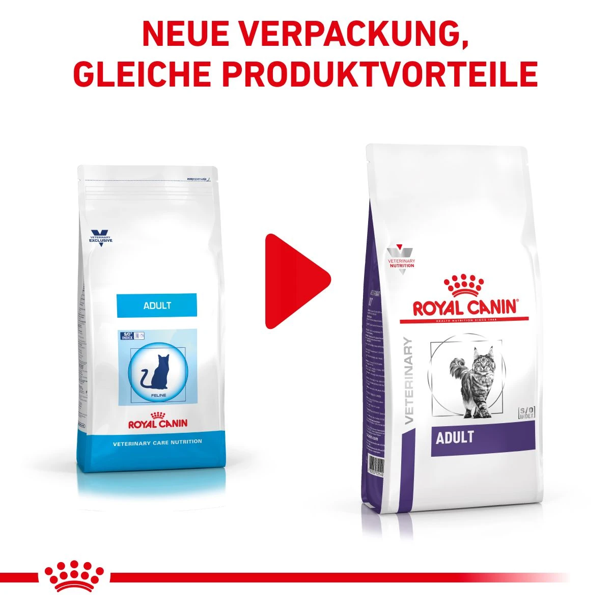 Royal Canin Adult Trockenfutter Für Katzen 2 Kg Trockenfutter Für Katzen 4 Royal Canin Adult Trockenfutter Für Katzen 2 Kg Trockenfutter Für Katzen – Bild 2