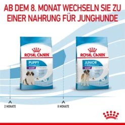 Royal Canin Gigant Puppy Trockenfutter Für Welpen Sehr Großer Rassen 3,5 Kg Trockenfutter Für Hunde (neues Design) 16 Royal Canin Gigant Puppy Trockenfutter Für Welpen Sehr Großer Rassen 3,5 Kg Trockenfutter Für Hunde (neues Design) -Haustier Lieferungen Geschäft NB6eqVrEEbbW 3182550707046 3075 6