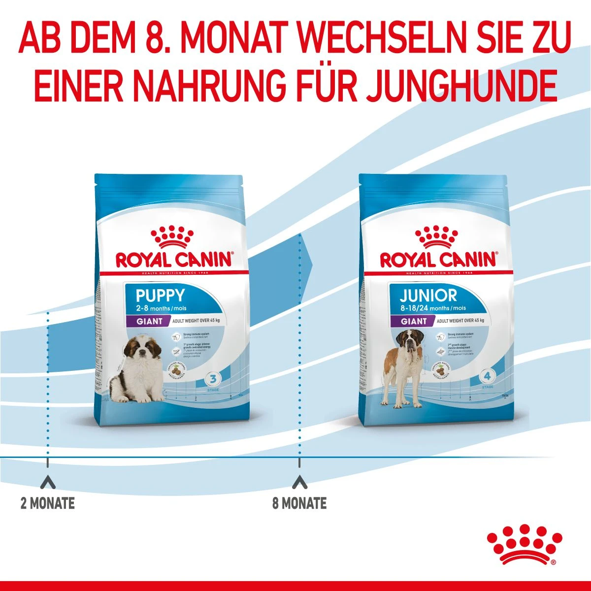 Royal Canin Gigant Puppy Trockenfutter Für Welpen Sehr Großer Rassen 3,5 Kg Trockenfutter Für Hunde (neues Design) 8 Royal Canin Gigant Puppy Trockenfutter Für Welpen Sehr Großer Rassen 3,5 Kg Trockenfutter Für Hunde (neues Design) – Bild 6