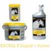 EQUISTRO Excell E Fürs Pferd 1000 G Dose Excell E Powder 2 EQUISTRO Excell E Fürs Pferd 1000 G Dose Excell E Powder -Haustier Lieferungen Geschäft NYeSXua7kTtV excell e liquid pulver