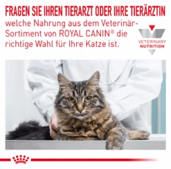 Royal Canin Sensitivity Control Huhn Mit Reis Feine Stückchen In Soße Frischebeutel Für Katzen 12 X 85 G Huhn Und Reis Frischebeutel Für Katzen -Haustier Lieferungen Geschäft NlvwMAIaI8oe 9003579011423 43 3