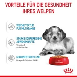 Royal Canin Medium Puppy Frischebeutel 10 X 140 G Frischebeutel Für Hunde 13 Royal Canin Medium Puppy Frischebeutel 10 X 140 G Frischebeutel Für Hunde -Haustier Lieferungen Geschäft OAL1kUkwLfAz 9003579008324 4711 4