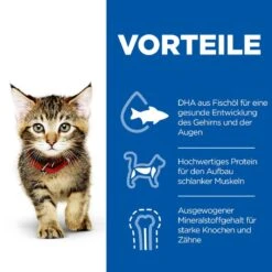 Hills Science Plan Kitten Trockenfutter 1,5 Kg Trockenfutter 10 Hills Science Plan Kitten Trockenfutter 1,5 Kg Trockenfutter -Haustier Lieferungen Geschäft PqmNgHbLe665 52742023649 3