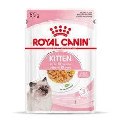 Royal Canin Kitten Frischebeutel Mit Gelee 12 X 85 G In Gelee Frischebeutel -Haustier Lieferungen Geschäft Q2QqEQlLp6yX 9003579311783 4503 Packshot