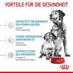 Royal Canin Medium Starter Trockenfutter 15 Kg Trockenfutter Für Hunde -Haustier Lieferungen Geschäft QR192y0rQSEp 3182550932714 2515 4