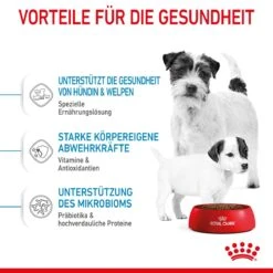 Royal Canin Mini Starter Trockenfutter 4 Kg Trockenfutter 16 Royal Canin Mini Starter Trockenfutter 4 Kg Trockenfutter -Haustier Lieferungen Geschäft R0BwgXOmGP0f 3182550932707 2504 4