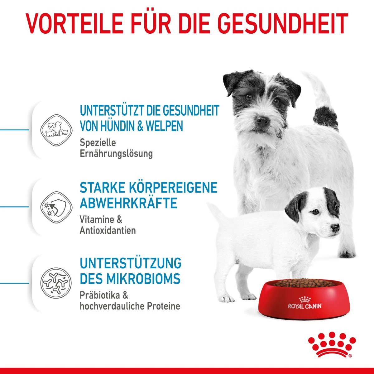 Royal Canin Mini Starter Trockenfutter 4 Kg Trockenfutter 7 Royal Canin Mini Starter Trockenfutter 4 Kg Trockenfutter – Bild 5